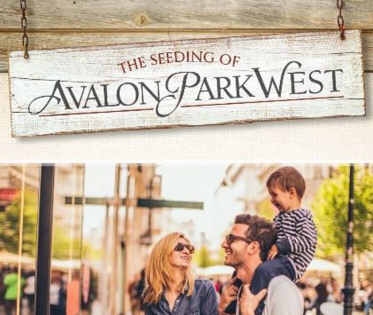 Avalon Park West | bedd